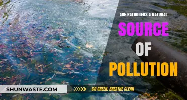 Pathogens: Nature's Unseen Polluters