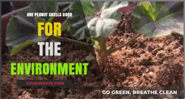 Peanut Shells: Eco-Friendly Benefits and Environmental Impact Explained