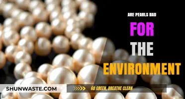 Are Pearls Eco-Friendly? Uncovering Their Environmental Impact and Sustainability