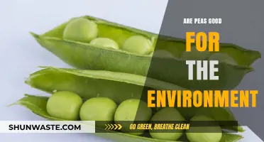 Peas and the Planet: Uncovering Their Eco-Friendly Impact