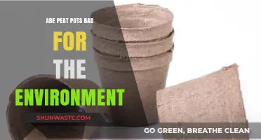 Peat Pots: Eco-Friendly or Harmful to the Environment?