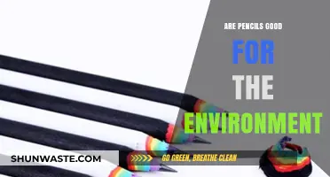 Eco-Friendly Writing: Are Pencils a Sustainable Choice for the Environment?