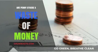 Penny Stocks: Profitable Investment or Waste of Money?