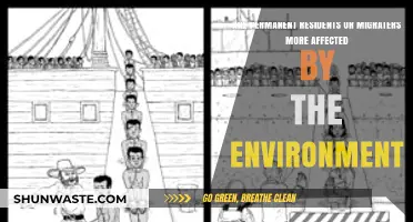 Environmental Impact: Who Suffers More, Permanent Residents or Migrants?