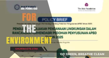 Perms and the Planet: Unraveling the Environmental Impact of Chemical Treatments