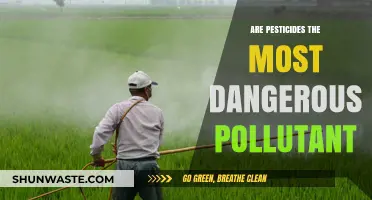 Pesticides: The Most Dangerous Pollutant?