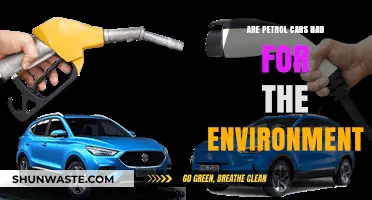 Are Petrol Cars Harming Our Planet? Environmental Impact Explored