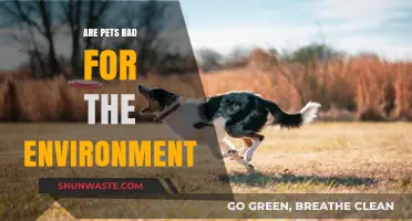 Pets and the Planet: Uncovering Their Environmental Impact and Solutions