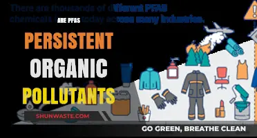 PFAS: Persistent Pollutants and Their Impact on Our Health