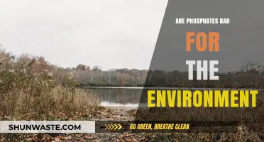 Phosphates' Environmental Impact: Uncovering Their Hidden Ecological Consequences