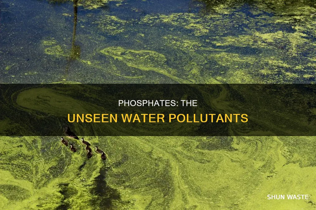 are phosphates water pollutants