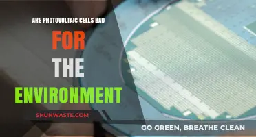 Photovoltaic Cells: Environmental Savior or Hidden Eco-Threat?