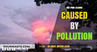 Pink Clouds: A Tale of Pollution and Nature's Artistry