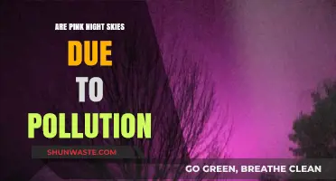 The Pink Sky Conundrum: Pollution or Natural Wonder?