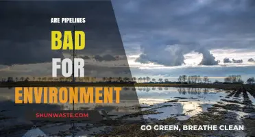 Pipelines and the Environment: Uncovering the Ecological Impact and Concerns