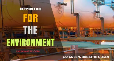 Pipelines and the Environment: Balancing Energy Needs with Ecological Impact