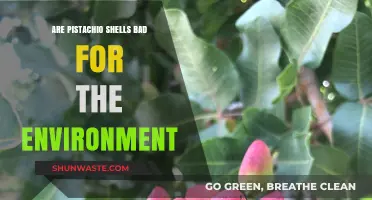 Pistachio Shells: Eco-Friendly or Environmental Hazard?