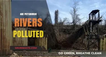 Pittsburgh Rivers: Polluted or Pristine?
