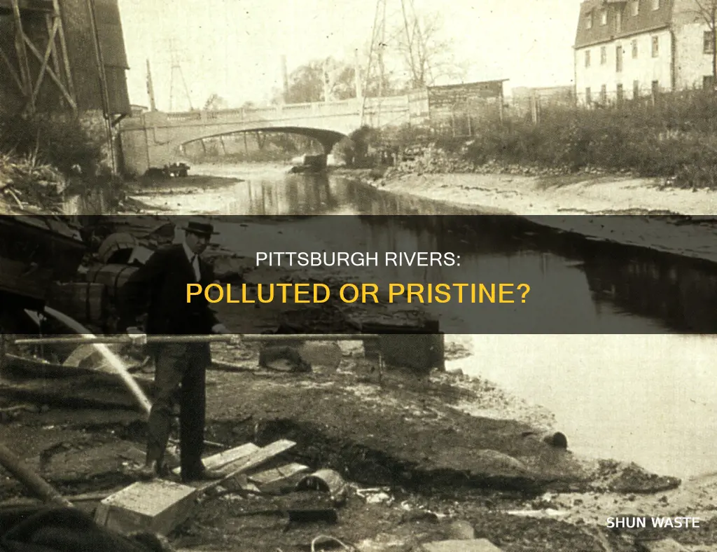 are pittsburgh rivers polluted