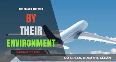 How Environmental Factors Impact Aircraft Performance and Safety