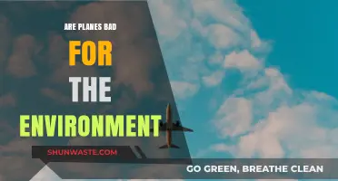 Flying's Environmental Impact: Are Planes Harming Our Planet?
