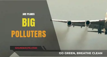 How Green is Flying? Aviation's Pollution Problem