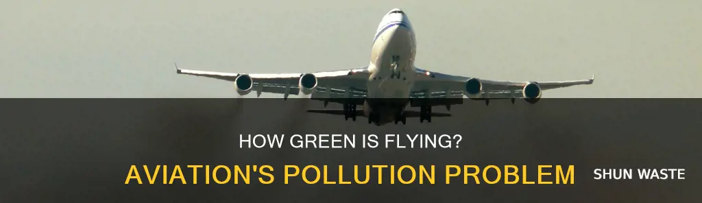 are planes big polluters