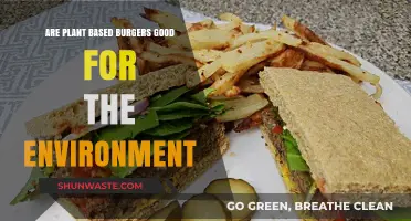 Plant-Based Burgers: Eco-Friendly Choice or Greenwashed Trend?