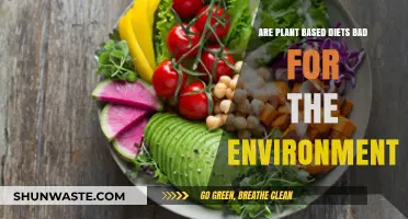 Plant-Based Diets: Eco-Friendly or Harmful to the Environment?