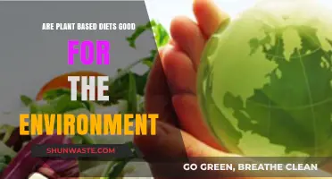 Plant-Based Diets: Eco-Friendly Choice or Environmental Myth?