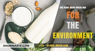 Plant-Based Milks: Eco-Friendly or Environmental Burden?