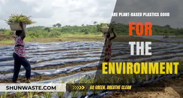 Plant-Based Plastics: Eco-Friendly Solution or Greenwashed Myth?
