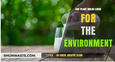 Plant Milks vs. Dairy: Eco-Friendly Choice or Greenwashing Myth?