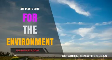 Plants' Environmental Impact: Greening Our Planet, One Leaf at a Time