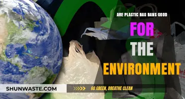 Plastic Bag Bans: Environmental Savior or Symbolic Gesture?