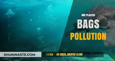 Plastic Bags: Environmental Impact and Pollution
