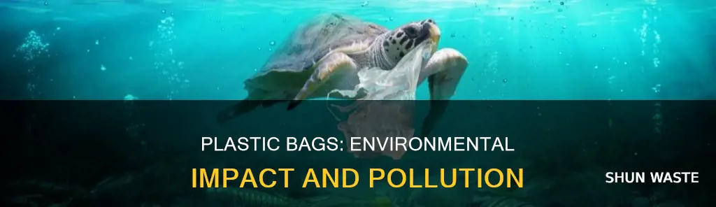 are plastic bags pollution