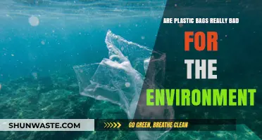 Are Plastic Bags Eco-Villains? Uncovering Their Environmental Impact
