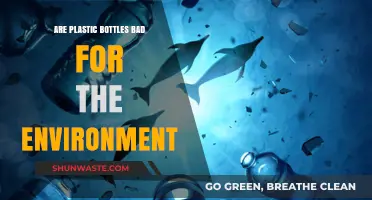 Plastic Bottles' Environmental Impact: Harmful Effects and Sustainable Alternatives