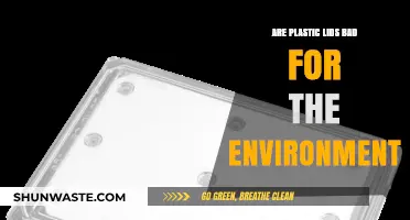 Plastic Lids: Environmental Impact and Sustainable Alternatives Explored
