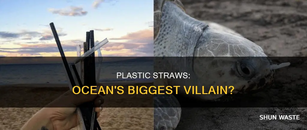 are plastic straws the majority of pollution in ocean