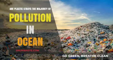 Plastic Strays: Ocean's Deadliest Pollution?