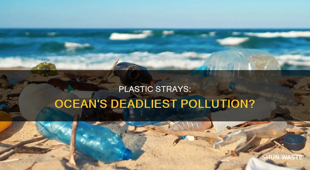 are plastic strays the majority of pollution in ocean