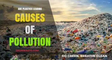 The Plastic Problem: Uncovering the Environmental Impact of Our Daily Habits