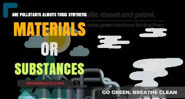 Toxic Pollutants: Synthetic Substances' Harmful Effects