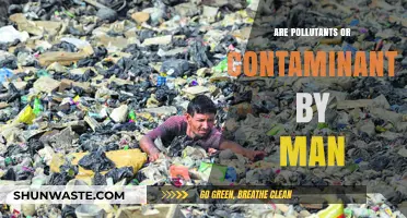 Human Impact: Pollutants and Contaminants