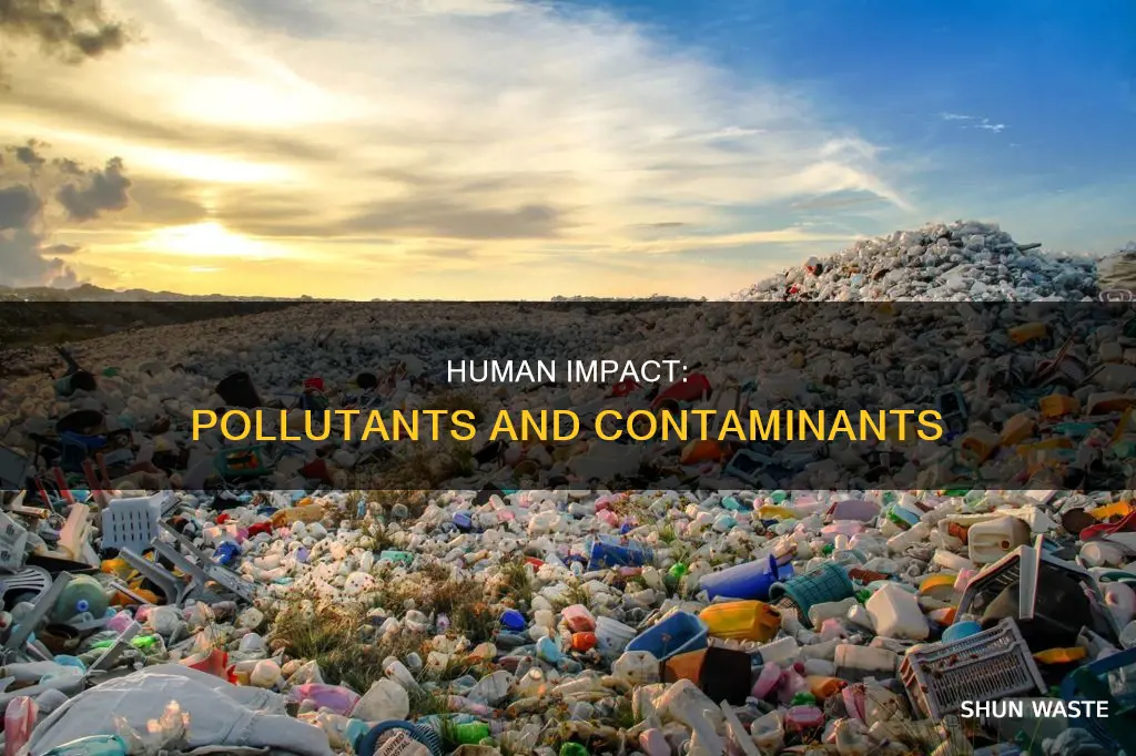 are pollutants or contaminants by man