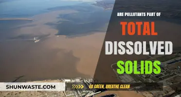 How Pollutants Contribute to Total Dissolved Solids