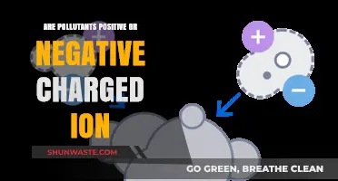 Air Pollutants: Positive or Negative Charge?
