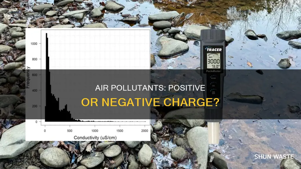 are pollutants positive or negative charged ion